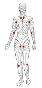 Circuit du drainage lymphatique sur le corps humain - Sur le blog santé et bien-être