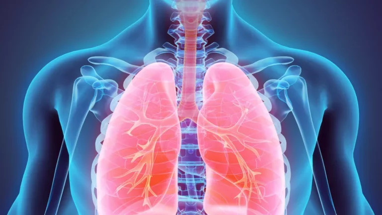Le système respiratoire - Anatomie et physiologie du corps huimain